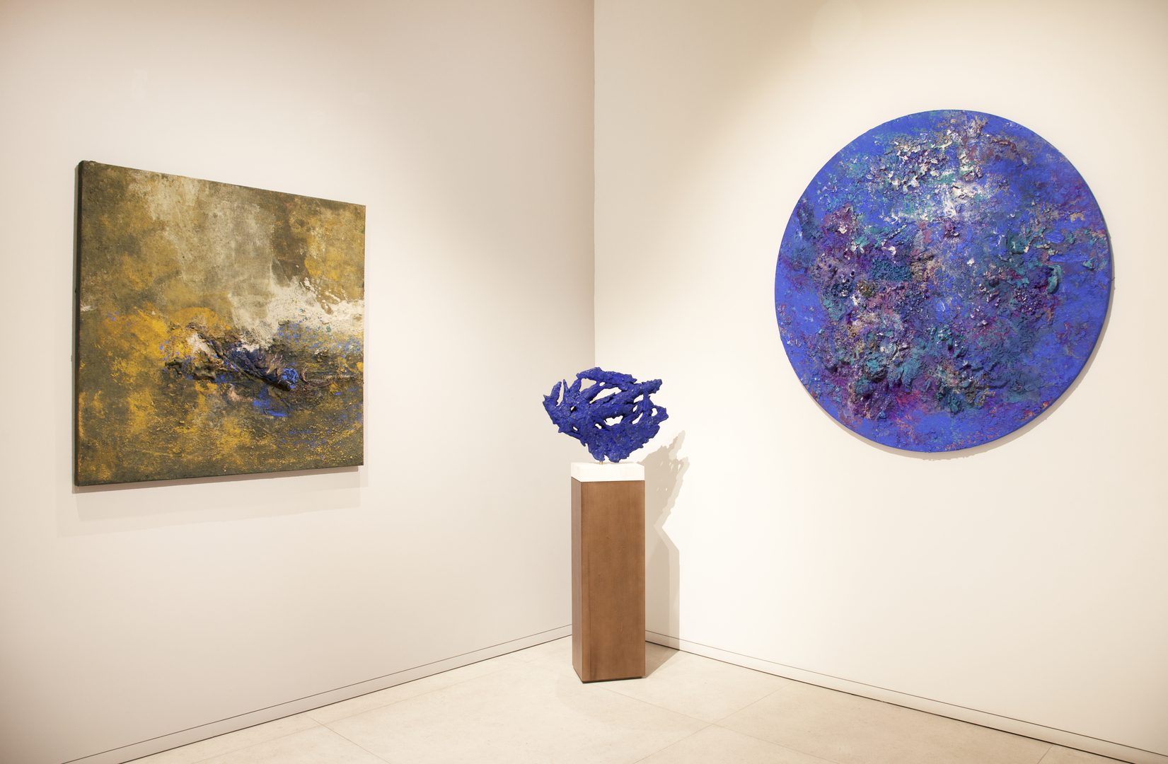 Imágenes de la muestra