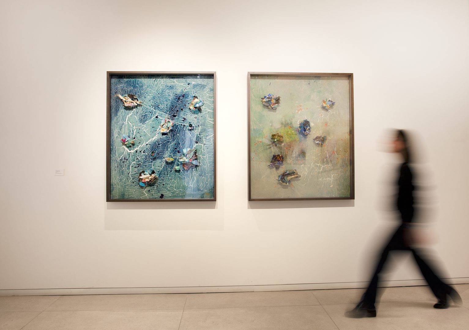 Imágenes de la muestra