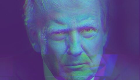 La ley del más fuerte