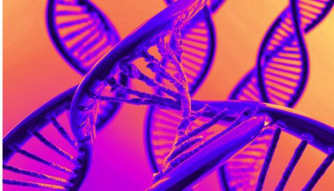 ¿Los genes no engañan?