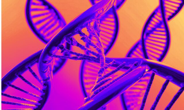 ¿Los genes no engañan?