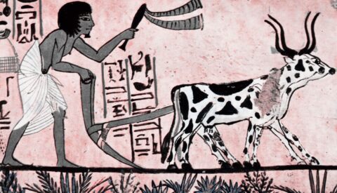 Trabajar hasta morir