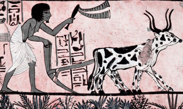 Trabajar hasta morir