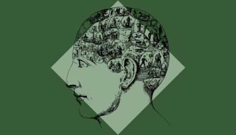 El libre albedrío no es una ilusión: es una conquista evolutiva