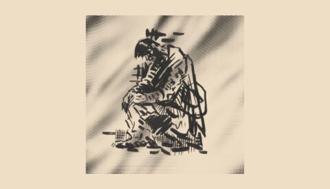 Anatomía de una crisis de salud pública