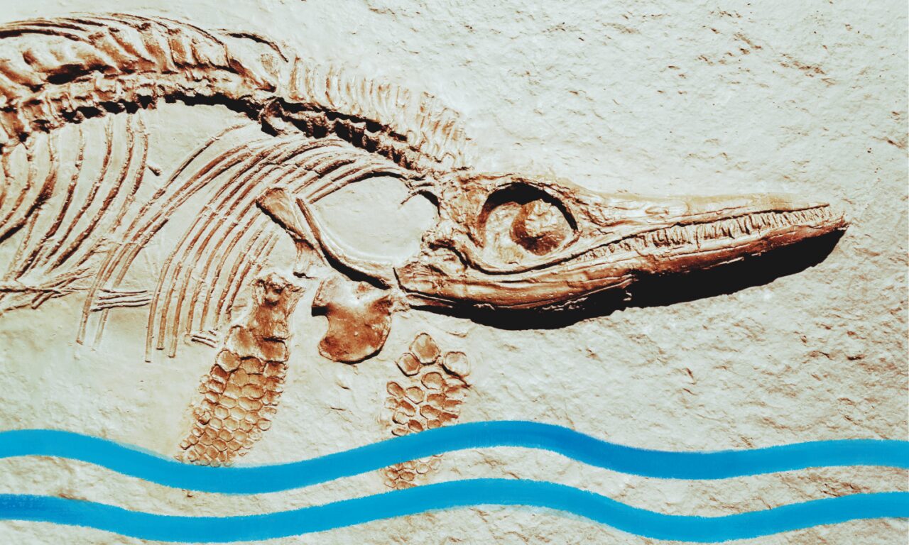 La arqueología ante el cambio climático