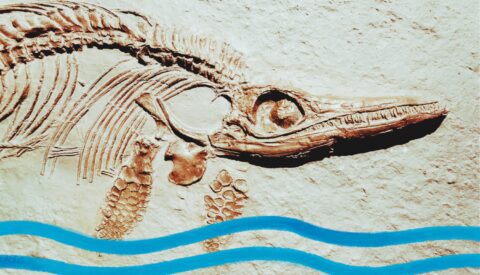 La arqueología ante el cambio climático