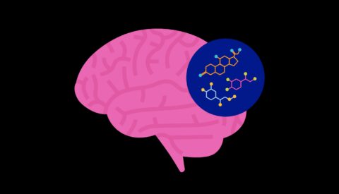 Cortisol, la hormona del estrés que se demoniza en redes