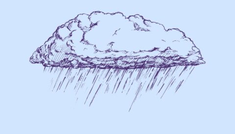 ¿Y no podemos aprovechar el agua de tanta lluvia?