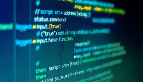 Naturaleza en código