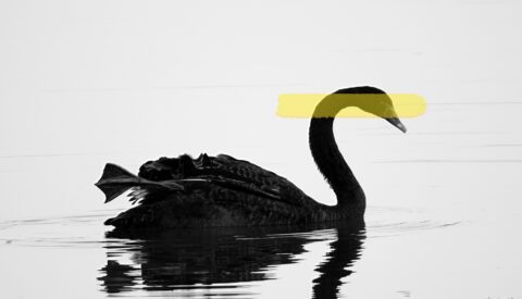 La teoría del cisne negro