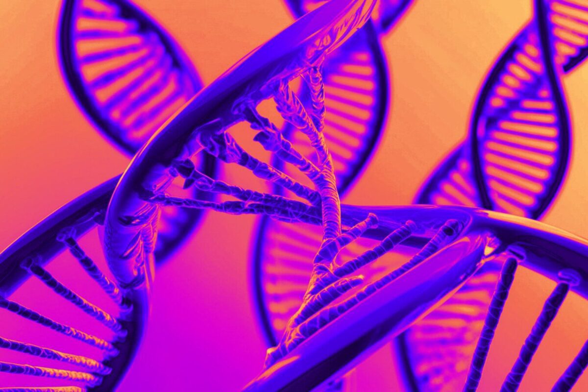 ¿Los genes no engañan?