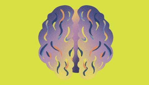 Cómo mantener el cerebro en forma