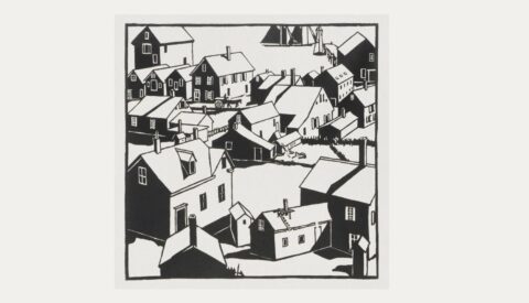 Vivir versus sobrevivir: cuando tener casa no significa tener hogar