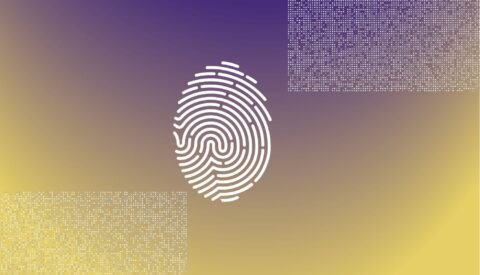 Al rico melón, oiga