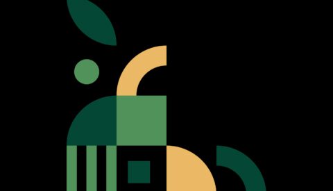 Política y ciencia: entre el respeto, la negación o la indiferencia