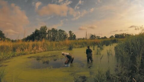 Chernóbil, 40 años después