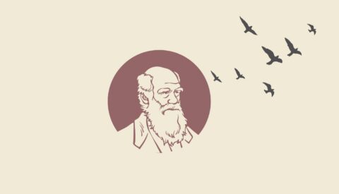 ¿Toda intervención humana en la naturaleza es negativa?