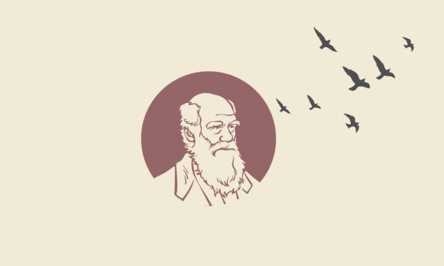 ¿Toda intervención humana en la naturaleza es negativa?