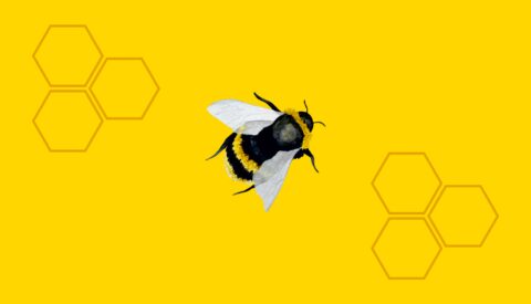 ¿Y si construimos granjas de abejas?