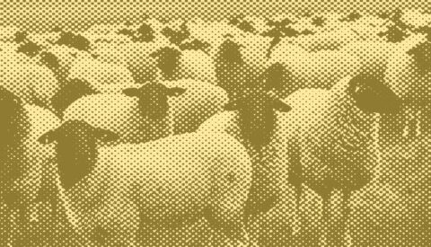 Una nación de ovejas engendra un gobierno de lobos