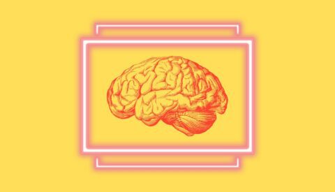 ¿Es la generación Z menos inteligente?