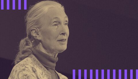 Diez cosas que nos enseñó Jane Goodall