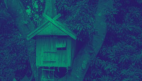 ¿Cómo cultivar edificios?