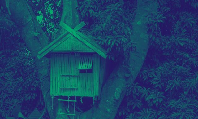 ¿Cómo cultivar edificios?