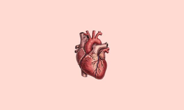 Emprendedores: el corazón discreto del tejido productivo