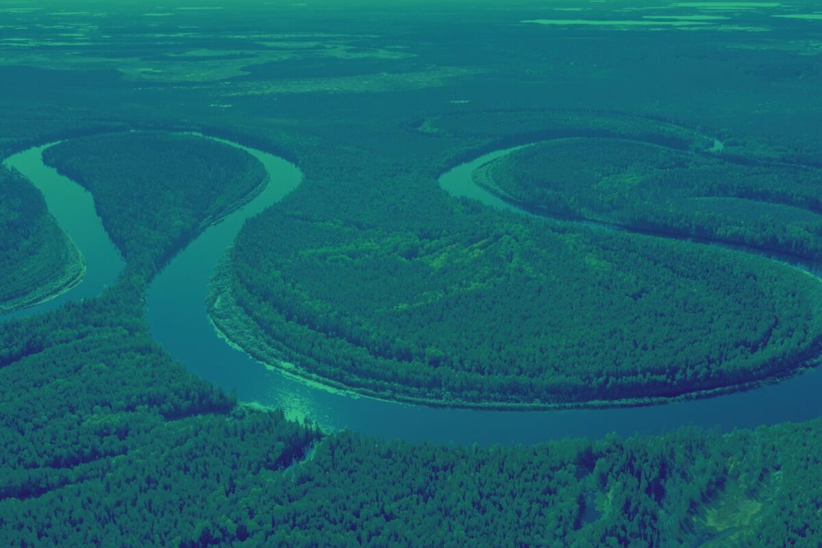 La naturaleza reclama sus derechos