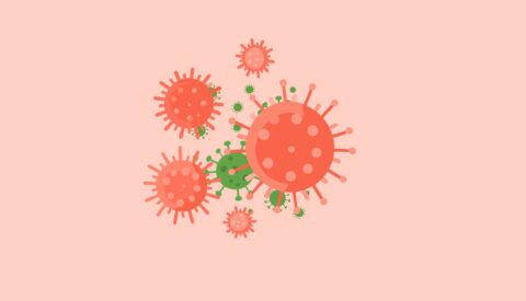¿Cómo se contiene un brote de hantavirus en un barco?