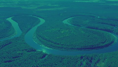 La naturaleza reclama sus derechos