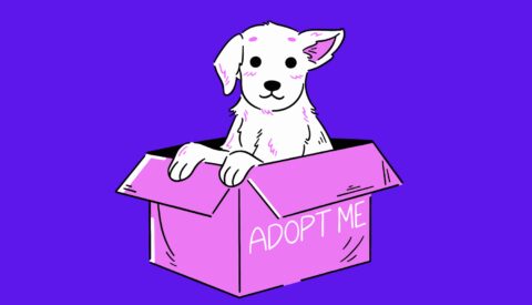 Adoptar animales está de moda
