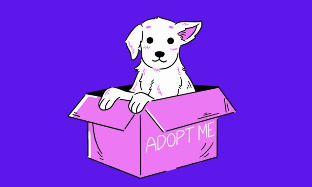 Adoptar animales está de moda