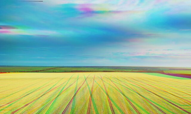 La agricultura bajo el punto de mira de la geopolítica mundial
