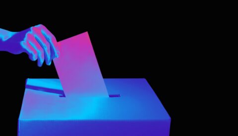 La demolatría helvética no es la democracia