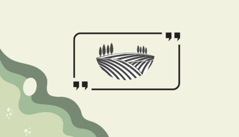 Los refranes que ya no se cumplen debido al cambio climático