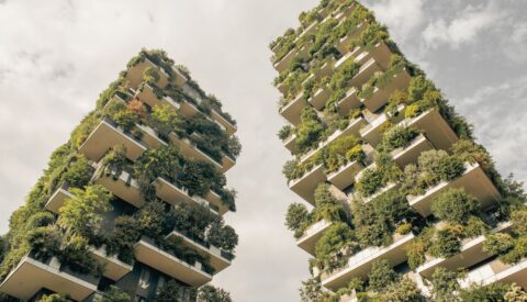 Contra el calor urbano, más naturaleza