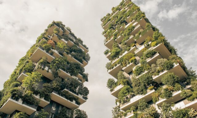 Contra el calor urbano, más naturaleza
