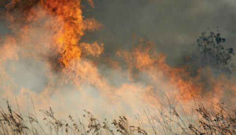 Ocho actuaciones para mejorar la gestión del riesgo de incendio y proteger a la población
