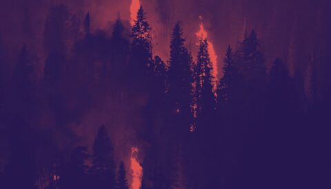 ¿Qué acuerdo necesita España para prevenir los incendios?