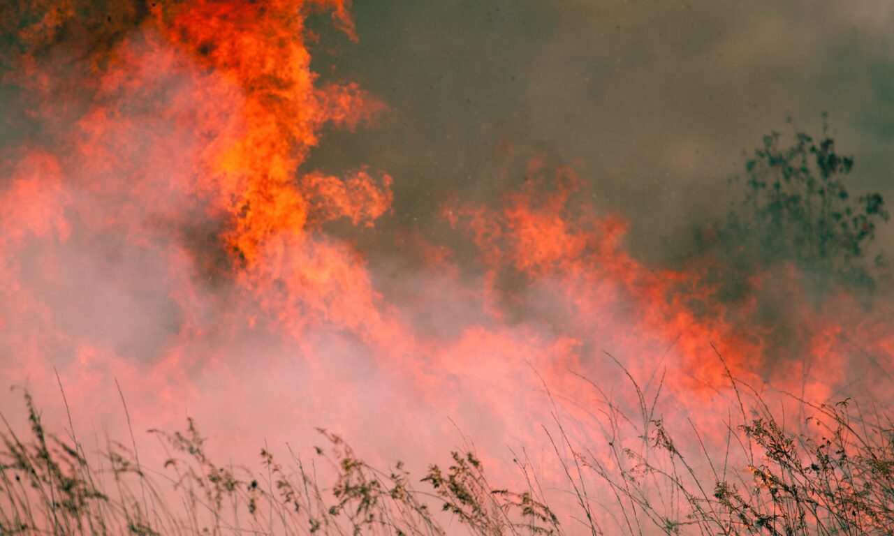 Los incendios forestales podrían quemar hasta un 192% más de superficie en Europa a finales de siglo