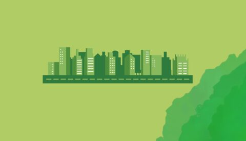 Lecciones aprendidas sobre renaturalización urbana