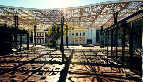 ¿Tenemos derecho a la sombra en las ciudades?