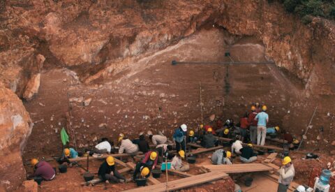 La importancia de Atapuerca en la evolución humana