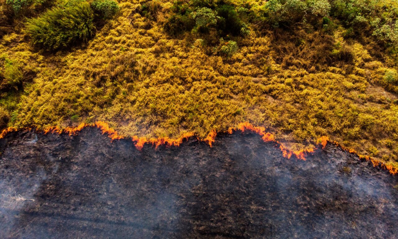 La mitigación del cambio climático es la única estrategia efectiva para evitar que Europa arda sin control a largo plazo
