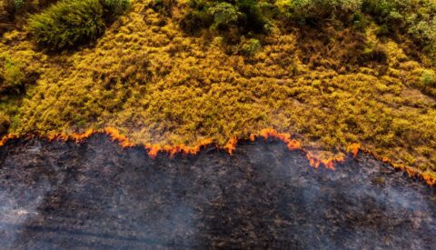 La mitigación del cambio climático es la única estrategia efectiva para evitar que Europa arda sin control a largo plazo