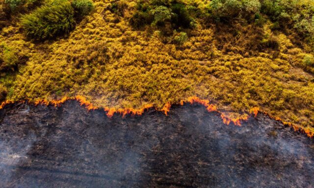 La mitigación del cambio climático es la única estrategia efectiva para evitar que Europa arda sin control a largo plazo
