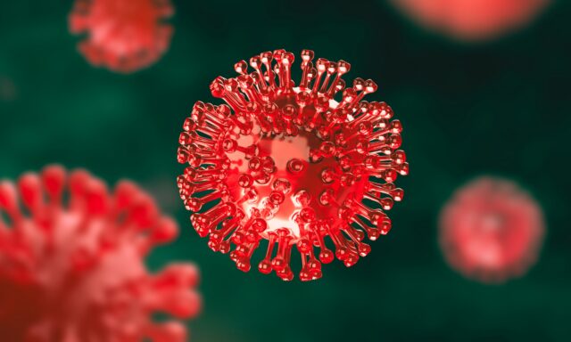 Ecología de los virus otoñales: cuáles son los más frecuentes y cómo interfieren entre sí